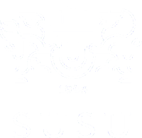 South Ural State University